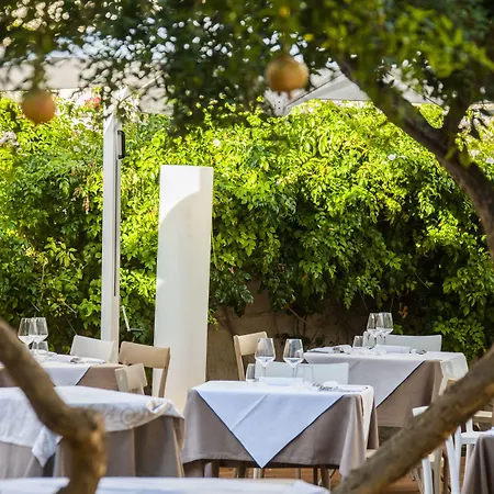 Aegusa Φαβινιάνα