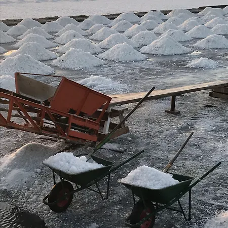 Aegusa Φαβινιάνα